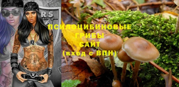 соль курить ск Бородино