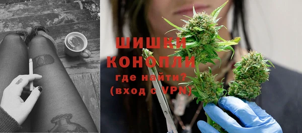 молекула духа Богородск