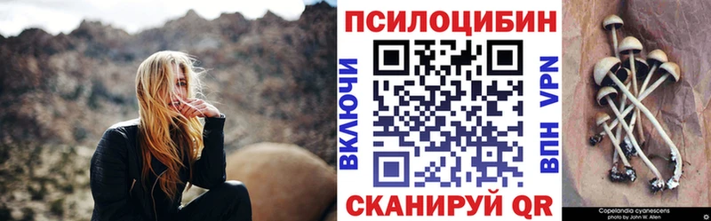 blacksprut вход  Зерноград  Галлюциногенные грибы MAGIC MUSHROOMS  купить наркоту 
